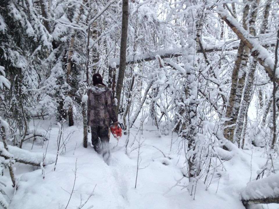 Person in camouflage walking through a snowy forest, carrying a red chainsaw