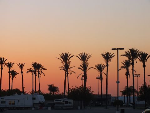 2003 Ford Crown Victoria - row of palm trees stands in silhouette against a gradient pink-to-orange sunset sky above parked RVs and trailers.