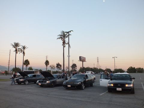 2003 Ford Crown Victoria - group of full-size sedans parked with hoods raised and people gathered around them at dusk, palm trees and pylons behind.