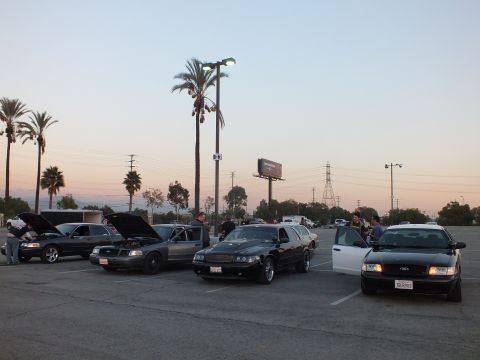 2003 Ford Crown Victoria - Several full-size sedans parked with hoods open and doors ajar at dusk, people milling about under palm trees and a billboard.