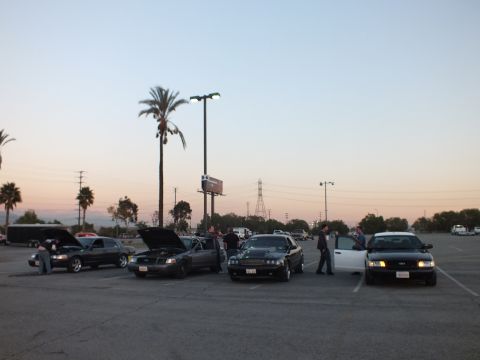 2003 Ford Crown Victoria - row of full-size sedans with raised hoods and open doors at a dusk lot gathering, people standing among them near a palm tree.