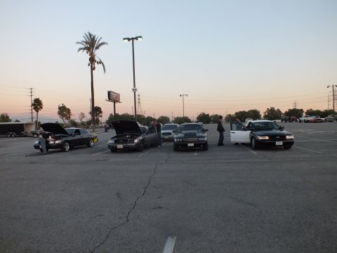 2003 Ford Crown Victoria - lineup of full-size sedans with hoods raised and doors open at dusk in a cracked-pavement lot, palm tree and billboard behind.