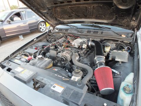 2003 Ford Crown Victoria - engine bay of a V8 sedan with a red conical air intake filter, visible alternator and reservoirs under a raised hood.
