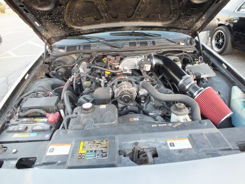 2003 Ford Crown Victoria - sedan engine bay showing a V8 with a red conical intake, exposed battery, and emissions labels under the raised hood.