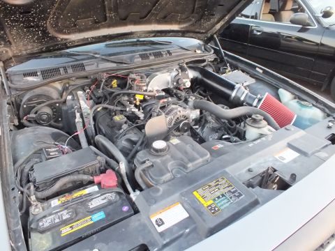 2003 Ford Crown Victoria - V8 engine compartment with a red conical air filter, battery, and intake tubing under the open hood of a full-size sedan.
