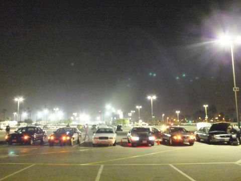 2003 Ford Crown Victoria - neat row of sedans facing the camera at night with headlights and parking lights on, plus one car with an open hood at the right.