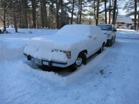 2001 Ford Crown Victoria - Photograph of a snow-covered sedan in a driveway, not a technical document.