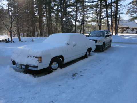 2001 Ford Crown Victoria - Photograph of a snow-covered sedan in a driveway, not a technical document.