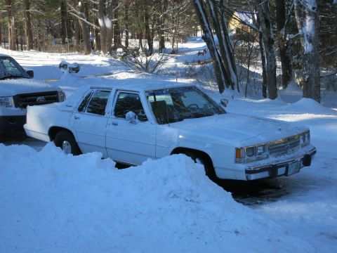 2001 Ford Crown Victoria - Photograph of a white Ford LTD Crown Victoria sedan beside a snowbank, not a technical document.