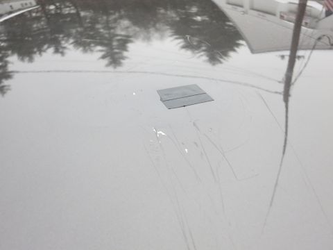 2001 Ford Crown Victoria - Close-up photograph of a scratched vehicle hood surface, not a technical document.