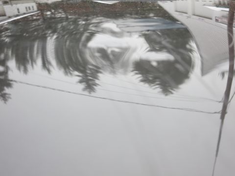 2001 Ford Crown Victoria - Close-up photograph of a vehicle body panel reflection, not a technical document.
