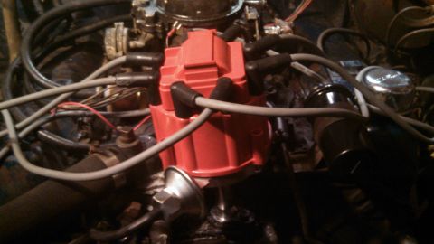 1979 Ford Bronco - A close-up view of the red distributor cap and spark plug wires on a V8 engine. The engine bay appears to be from a classic Ford Bronco.