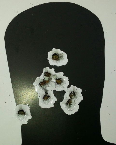 1995 Ford F-150 - A silhouette target shows multiple impacts from gunfire, with a cluster of holes and one isolated hole.