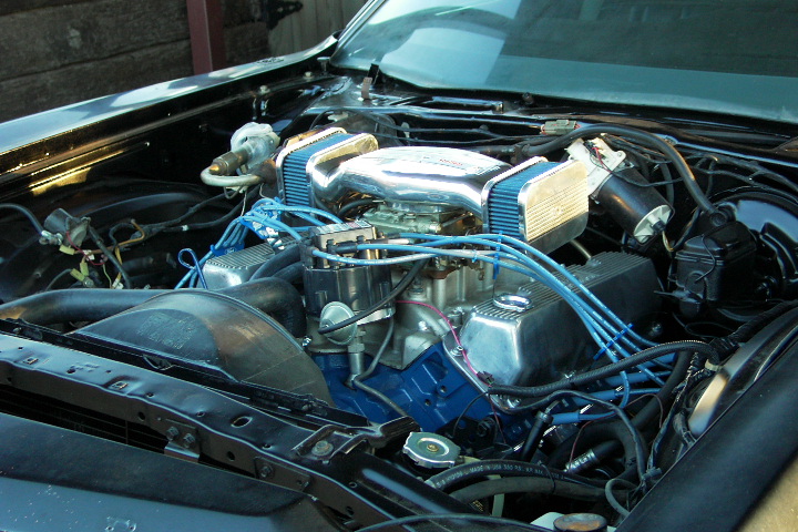 V8 engine bay with chrome valve covers and blue spark plug wires under an open hood