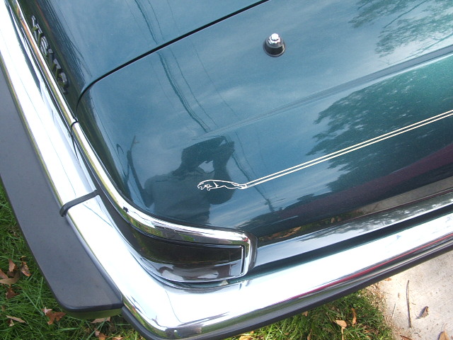 Jaguar emblem on the trunk of a dark green car, chrome bumper visible