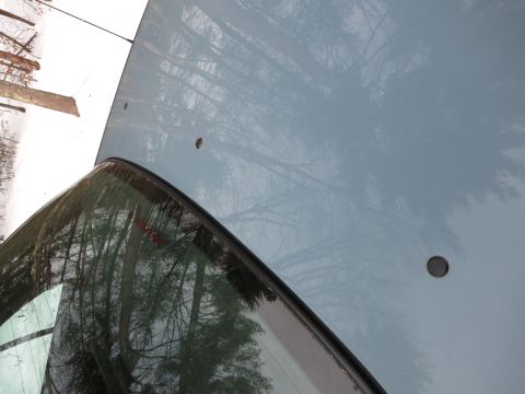 2001 Ford Crown Victoria - Reflection of trees on a car's hood and windshield.