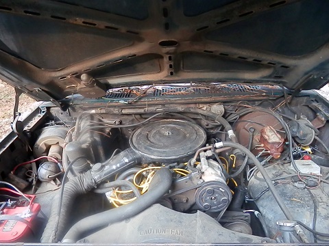 1986 Ford Bronco photo
