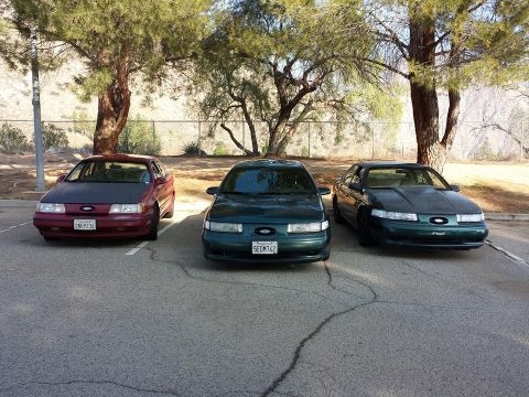 1995 Ford Taurus - Three Ford Taurus sedans, two dark green and one maroon, are parked in a lot under trees.