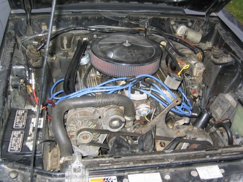 1985 Ford Mustang photo