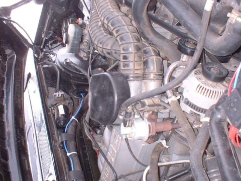 1995 Ford Bronco photo