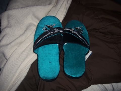 1968 Ford Bronco - A pair of teal slippers shark logos are displayed on a brown surface next to a white blanket.