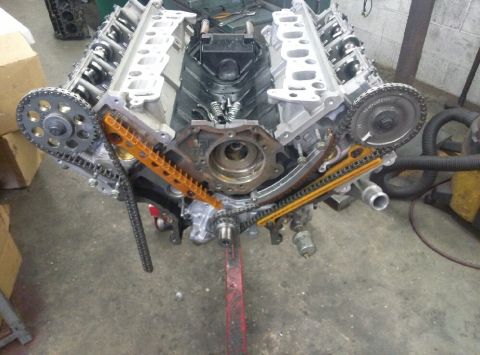 2004 Ford Crown Victoria - Close-up view of a V8 engine's internal components, including timing chains and gears.