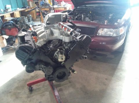 2004 Ford Crown Victoria - Baby getting a new heart beat.