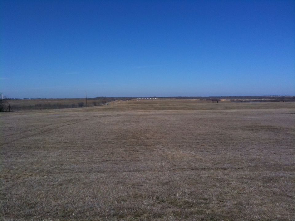 Wide view of a dry, grassy field under a bright blue sky with distant trees on the horizon