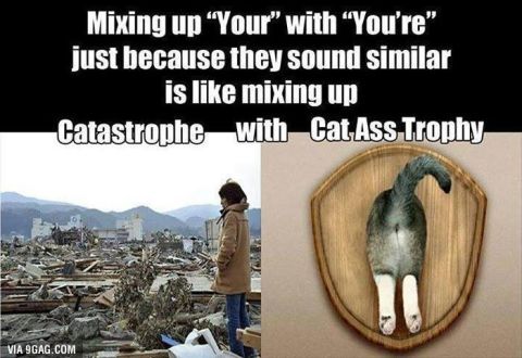 2006 Ford E350 - Catastrophe=cat ass trophy