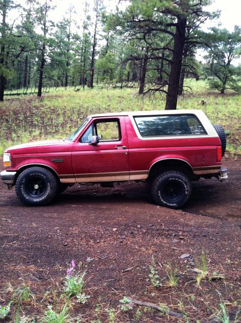 1994 Ford Bronco - Side view of a red Ford Bronco with a tan stripe and a white roof, parked on a dirt road surrounded by trees.