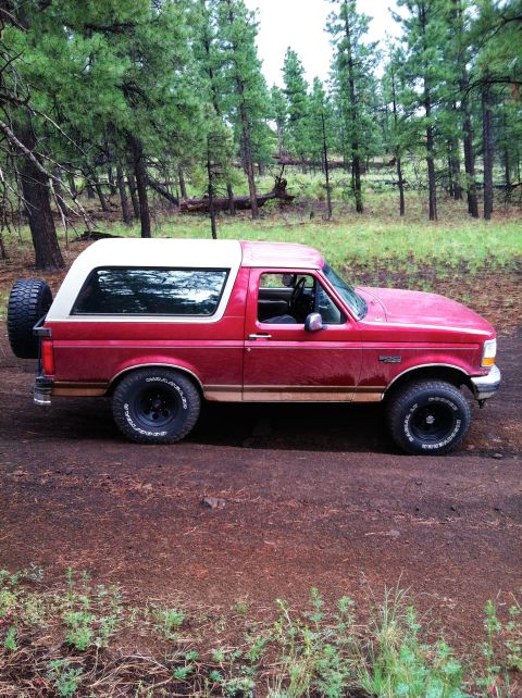 1994 Ford Bronco - A red Ford Bronco with a white removable top is parked on a dirt road surrounded by pine trees.