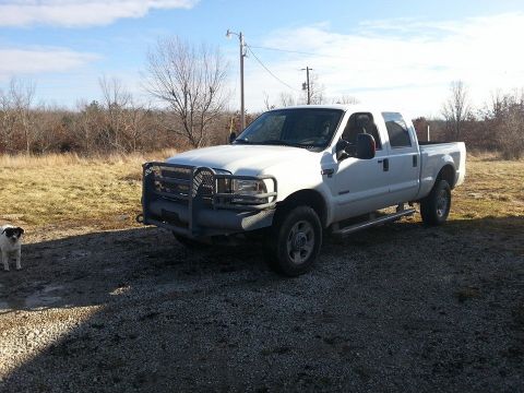 1995 Ford F-150 - A white pickup truck is parked on a gravel lot with a dog standing nearby.
