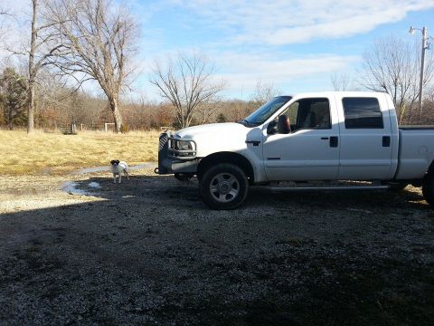 1995 Ford F-150 - A white crew cab pickup truck with a bull bar is parked outdoors. A small dog stands nearby in the gravel lot.