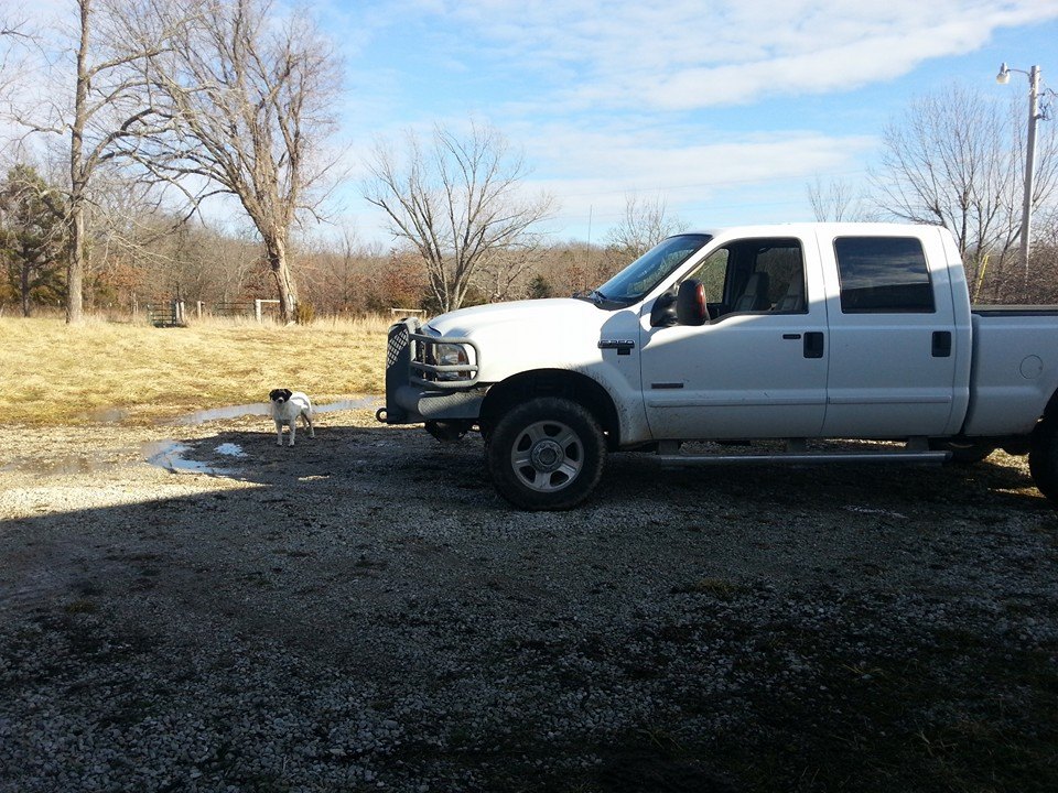 1995 Ford F-150 in 2014