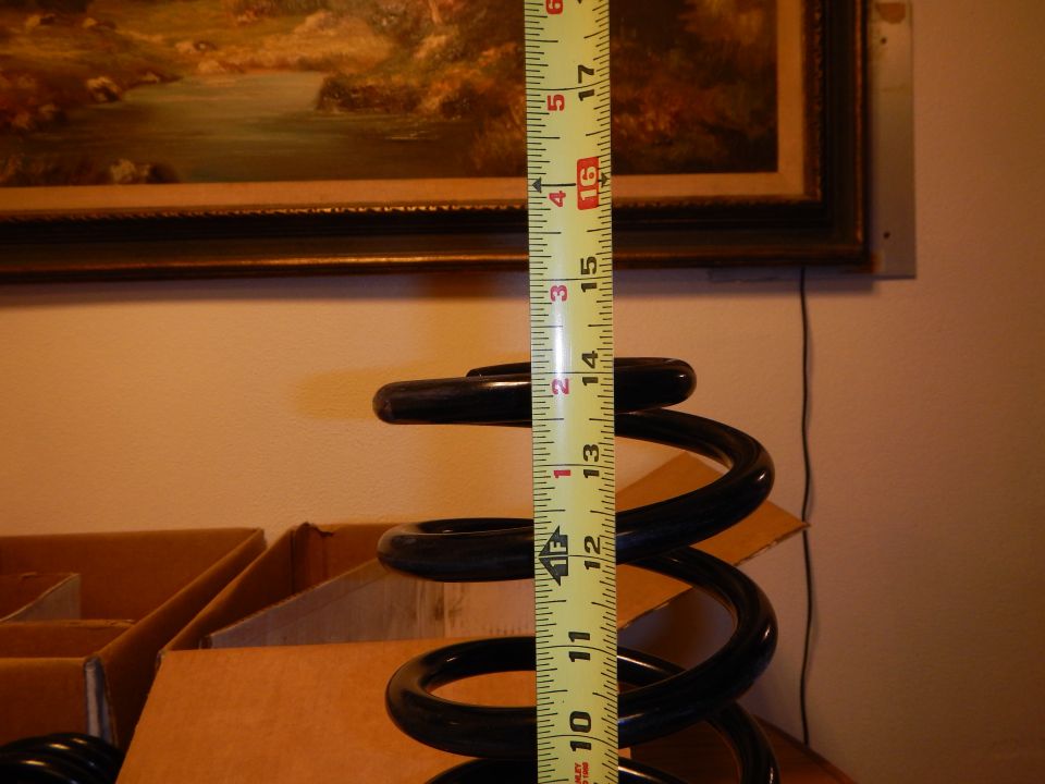 Black coil spring stood upright beside a vertical tape measure
