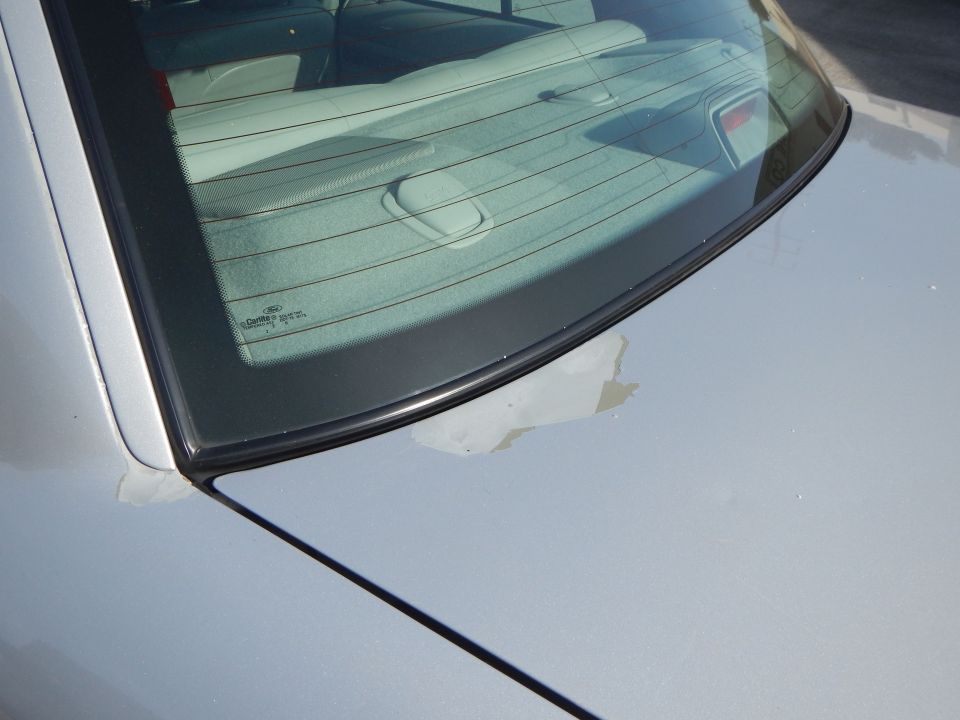 Car's rear window and trunk lid. Has a Ford logo on the glass