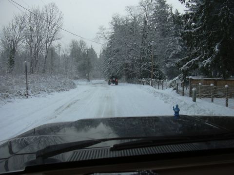 1991 Ford Bronco - Now ice