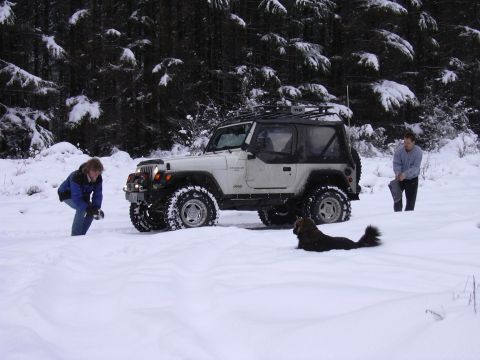 1991 Ford Bronco - Had to stop for a sec and disconect the sway bar