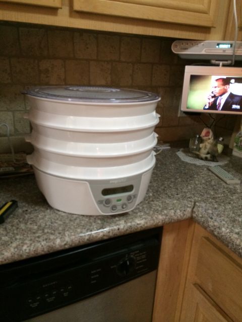1968 Ford Mustang - A food dehydrator sits on a kitchen counter next to a small television.