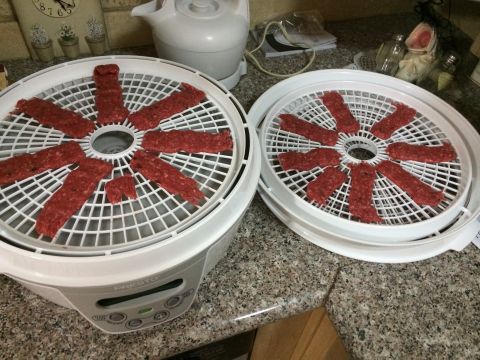 1968 Ford Mustang - Two food dehydrators are filled with raw meat strips arranged on their circular trays.