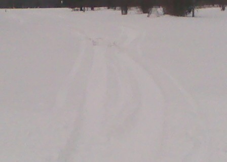 1963 Hummer H3 - A vast expanse of snow covers the ground, marked by tire tracks leading towards a treeline.