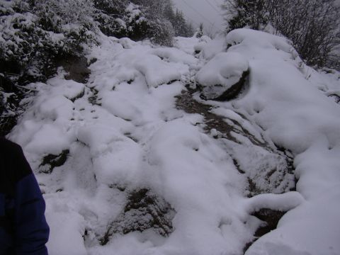 1991 Ford Bronco - Here's a little rock climb we were checkin out