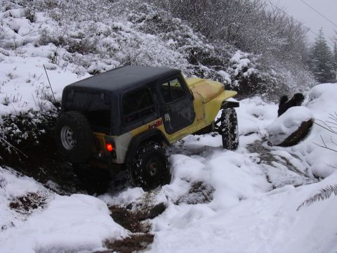 1991 Ford Bronco - After going up a ways, Hip decided there was probably a route with less chance of an accident