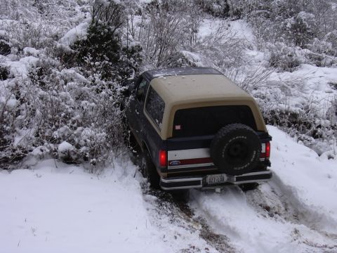 1991 Ford Bronco - Me conquering the hill