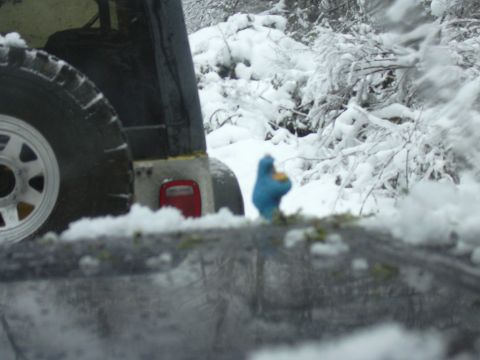1991 Ford Bronco - After we turned around, we headed down a rather 'short' trail. I had to reposition my Cookie afterwards