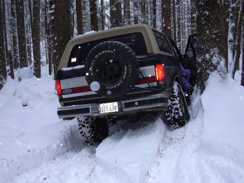 1991 Ford Bronco - Squeezzzz