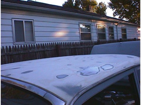 1960 Ford Falcon - The roof of a car shows significant paint damage with peeling sections and water spots.