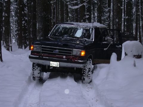 1991 Ford Bronco - Stopped to check out the trail ahead.