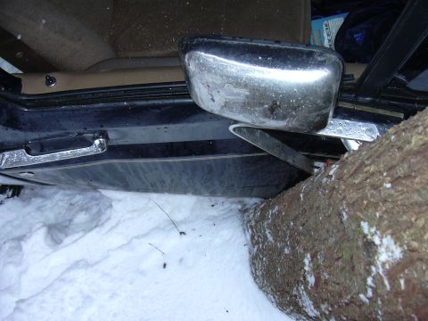 1991 Ford Bronco - Unfortunately the trees weren't gonna let me off that easy