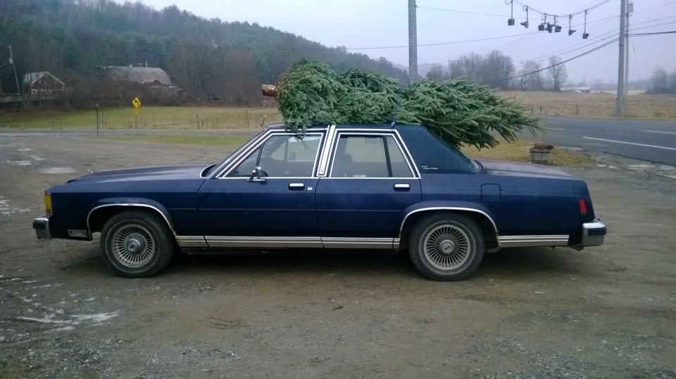 Dark blue Ford LTD Crown Victoria sedan, side view, with a Christmas tree on the roof in a gravel lot